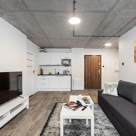 New Place Next To Vistula & Wawel Castle Krakow Exterior photo