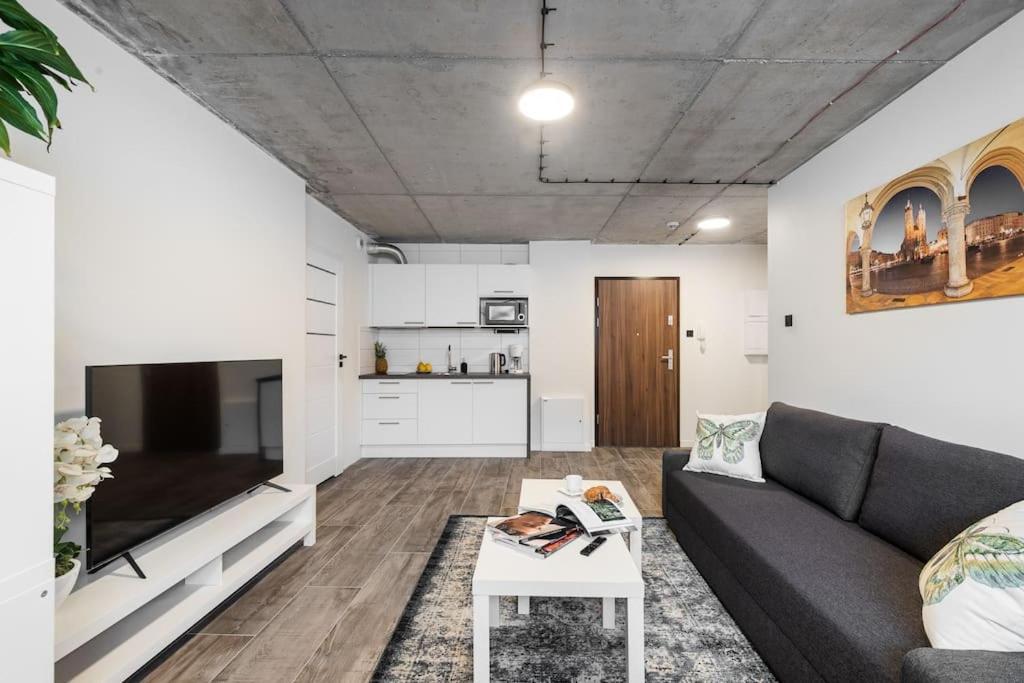New Place Next To Vistula & Wawel Castle * Krakow